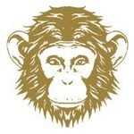 Omneky Review