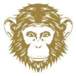 Omneky Review